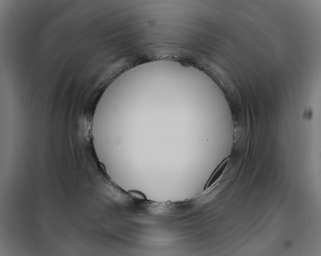 X0000099540142200806061503