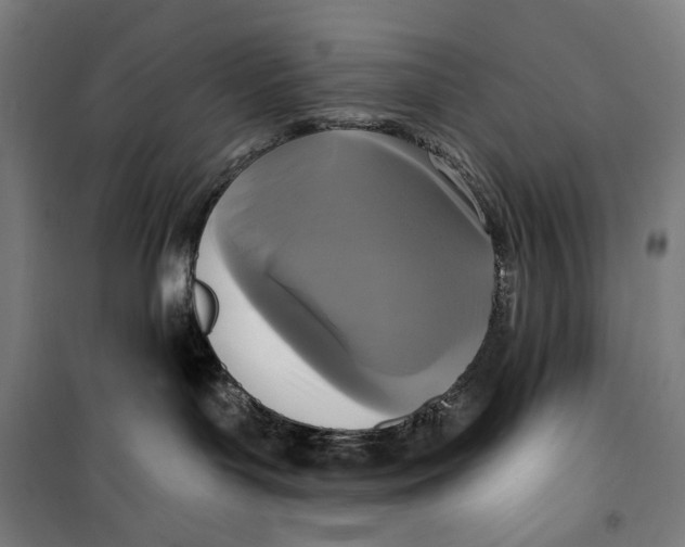 X0000099540143200806061503