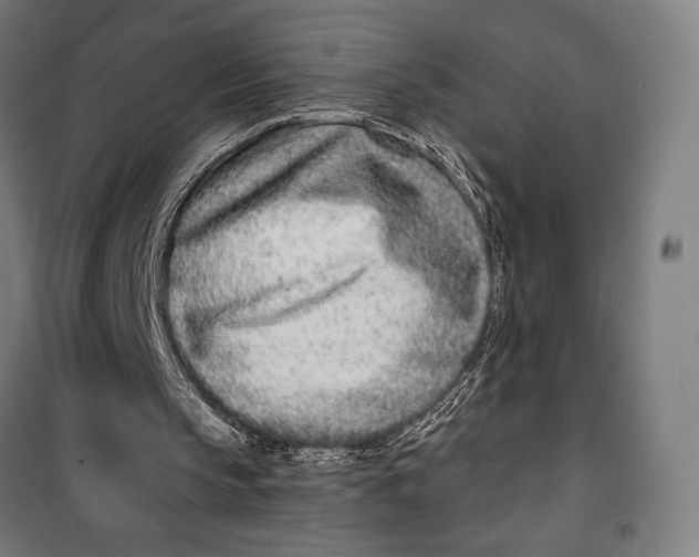 X0000099540145200806061502