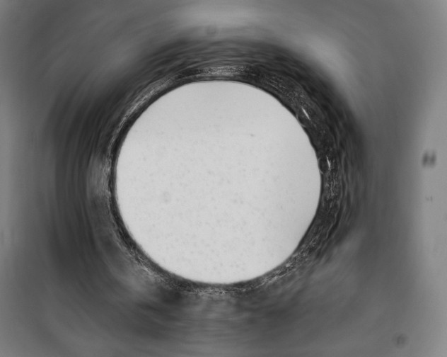 X0000099540146200806061502