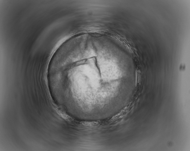 X0000099540147200806061502