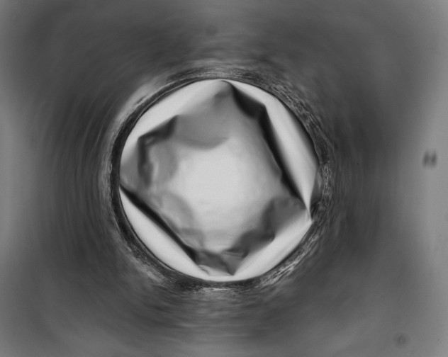 X0000099540150200806061502