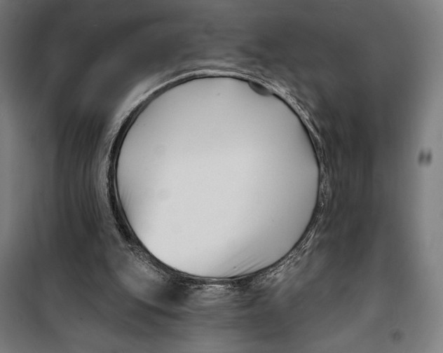 X0000099540151200806061502