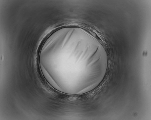 X0000099540152200806061502