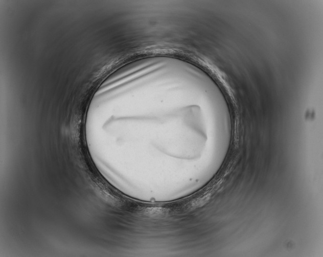 X0000099540153200806061502