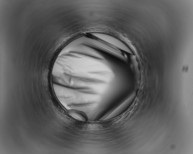 X0000099540154200806061502