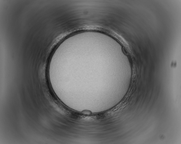 X0000099540155200806061502