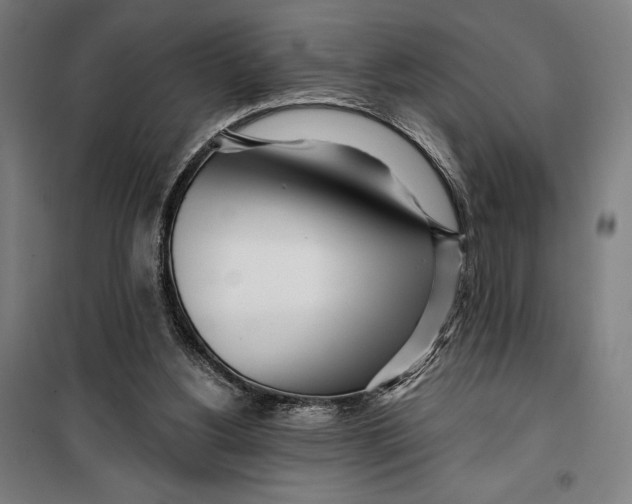 X0000099540156200806061502