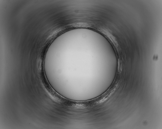 X0000099540157200806061502