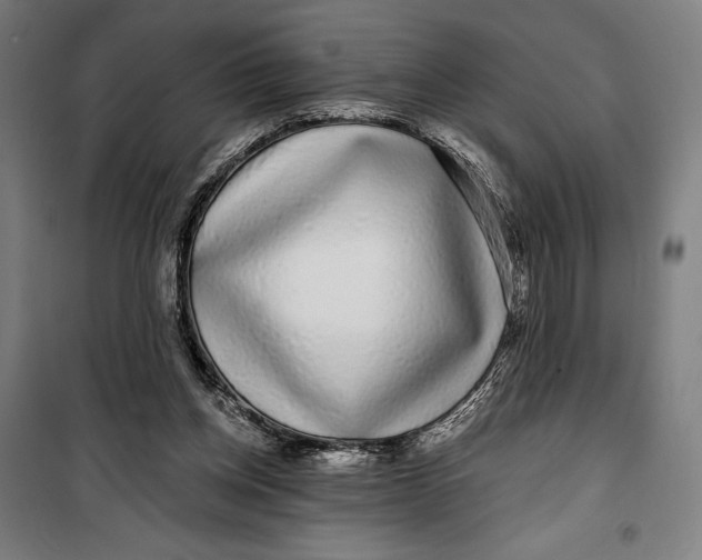 X0000099540158200806061502