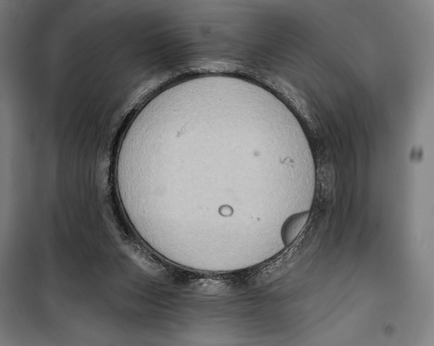 X0000099540159200806061502