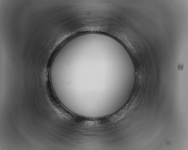 X0000099540160200806061502