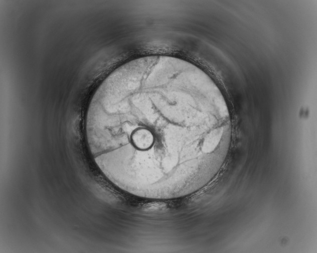 X0000099540162200806061502