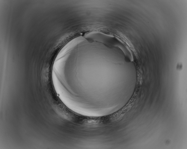 X0000099540163200806061502