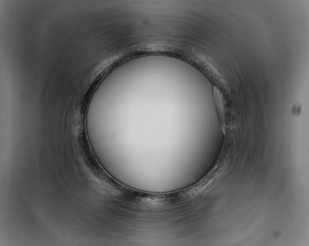 X0000099540164200806061502