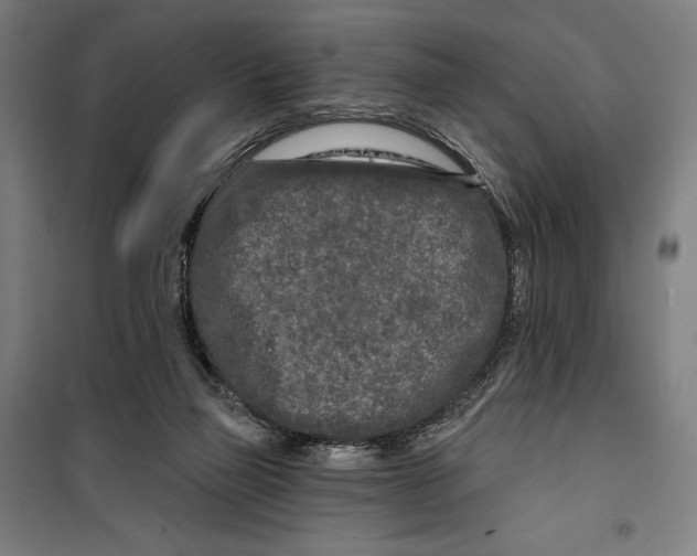 X0000099540165200806061502