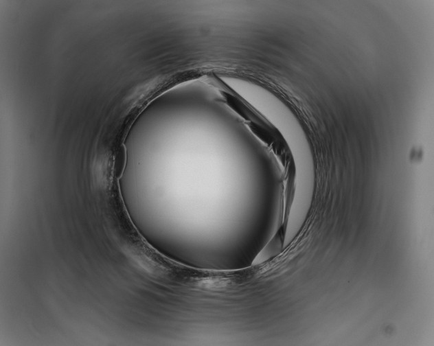 X0000099540168200806061502