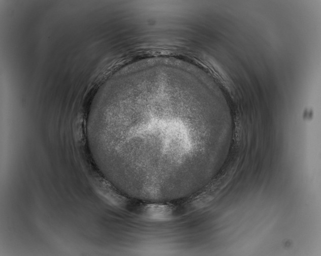 X0000099540169200806061502