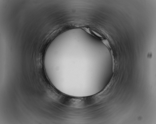 X0000099540170200806061502