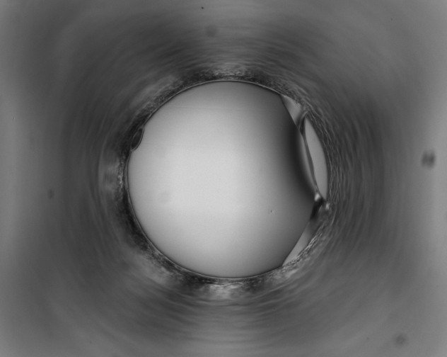 X0000099540172200806061502