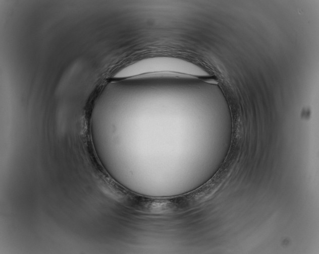 X0000099540173200806061502