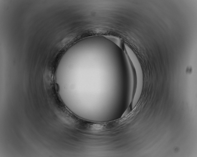 X0000099540176200806061502