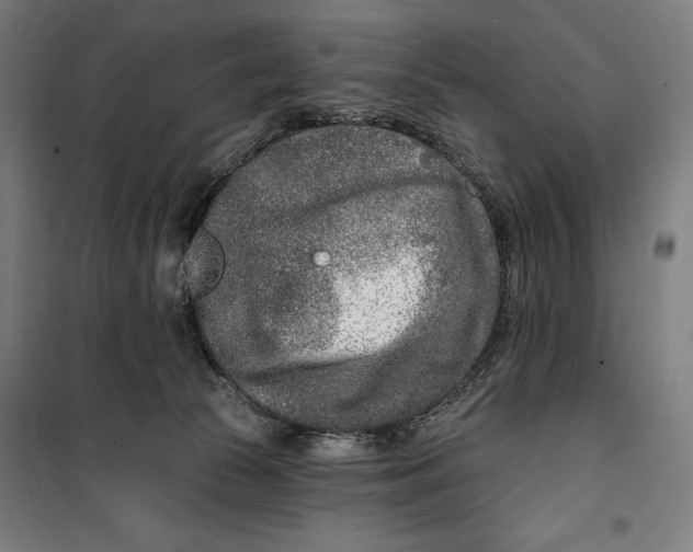 X0000099540177200806061502