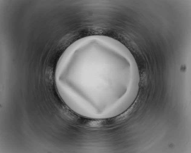 X0000099540178200806061502