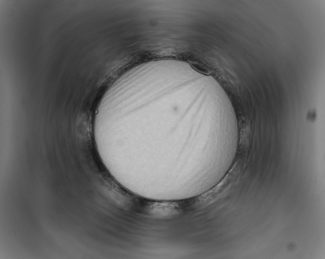 X0000099540179200806061502