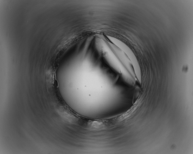 X0000099540180200806061502