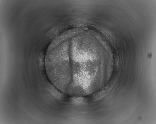 X0000099540181200806061502