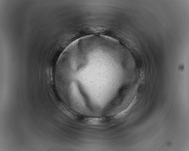 X0000099540182200806061502