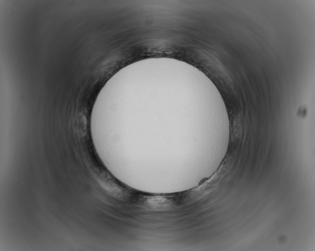 X0000099540183200806061502