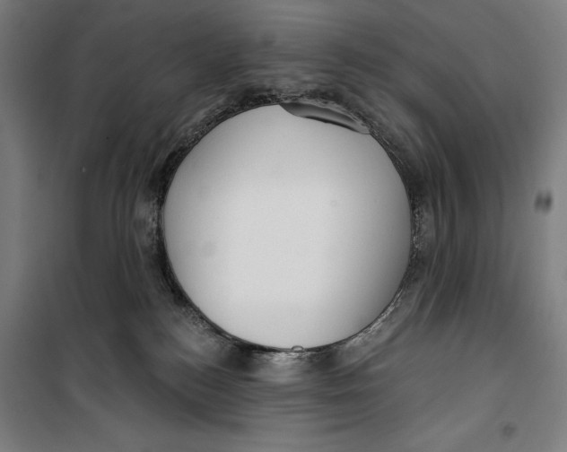 X0000099540184200806061502