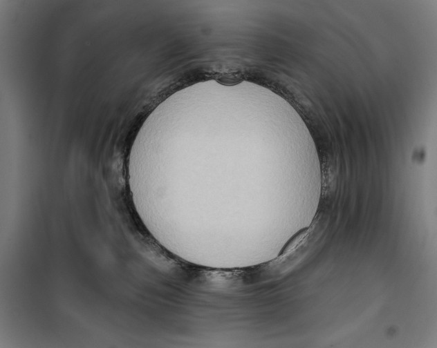 X0000099540187200806061503