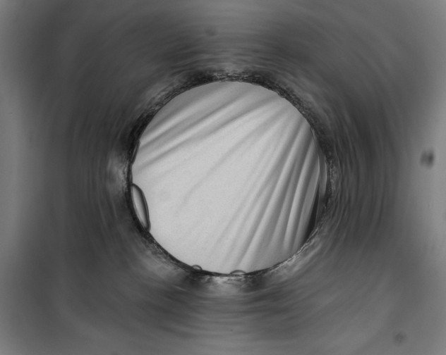 X0000099540188200806061503