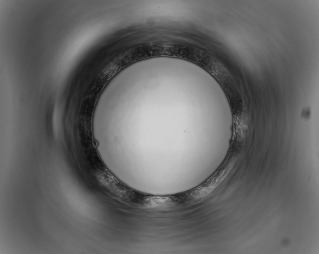 X0000099540189200806061503