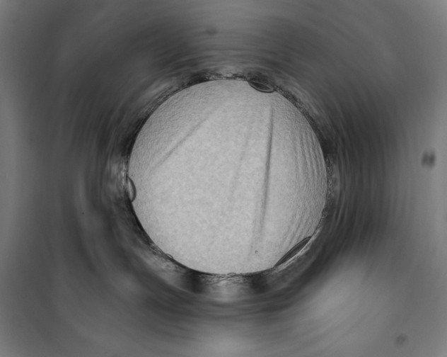 X0000099540191200806061503