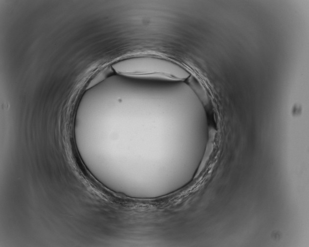 X0000099540193200806061502