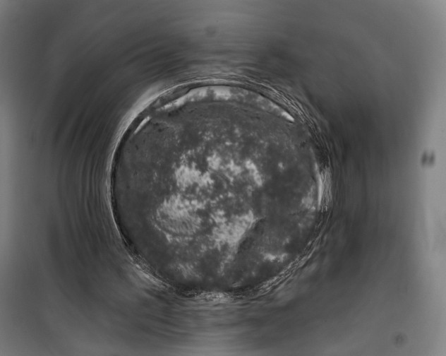 X0000099540195200806061502