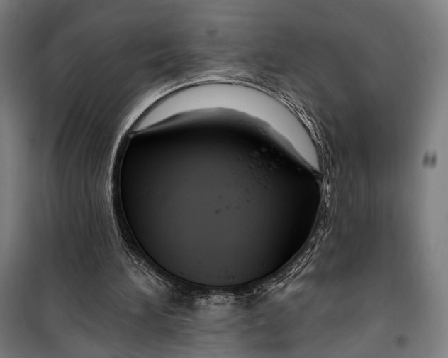 X0000099540196200806061502