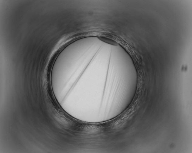 X0000099540198200806061502