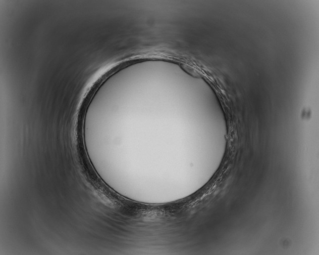 X0000099540200200806061502