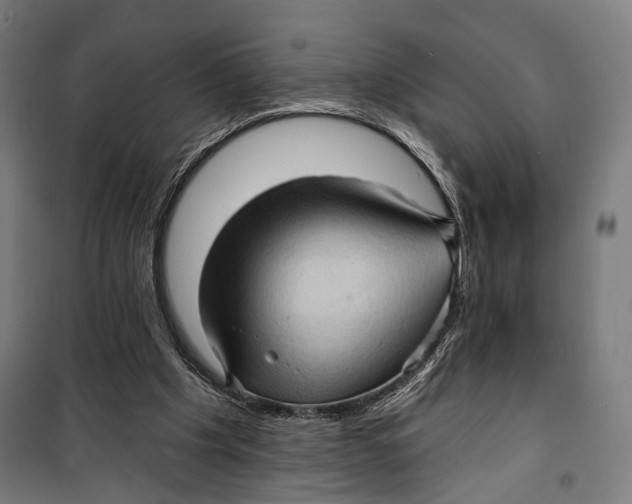 X0000099540201200806061502