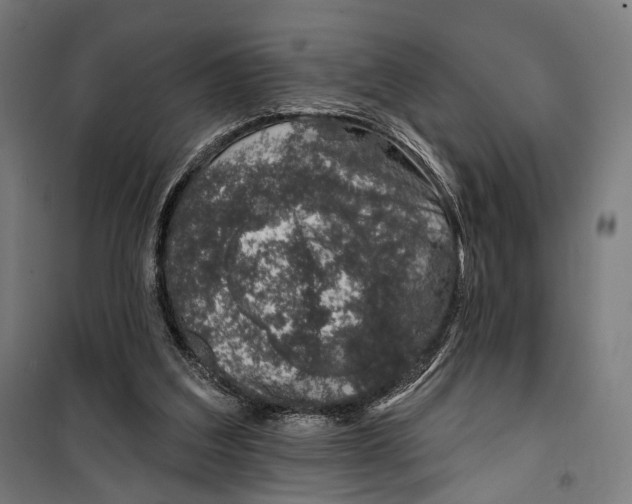 X0000099540203200806061502