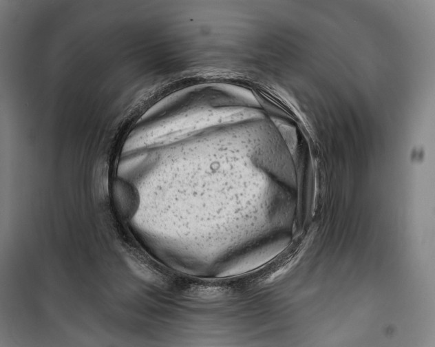 X0000099540205200806061502