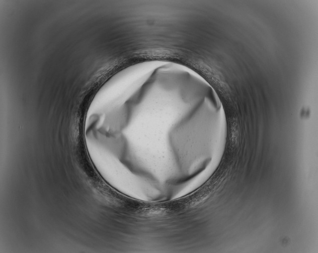 X0000099540206200806061502