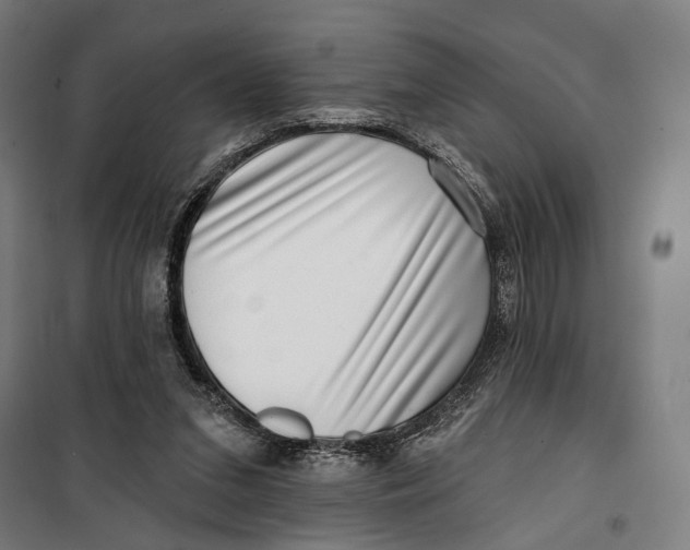 X0000099540207200806061502