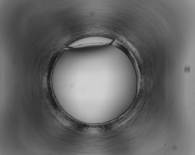 X0000099540209200806061502