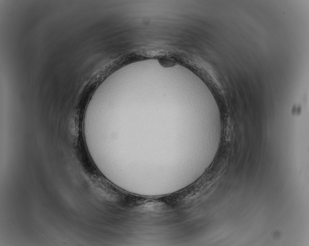 X0000099540210200806061502